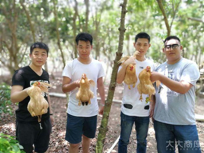 冒烟彩弹真人cs 农庄野炊